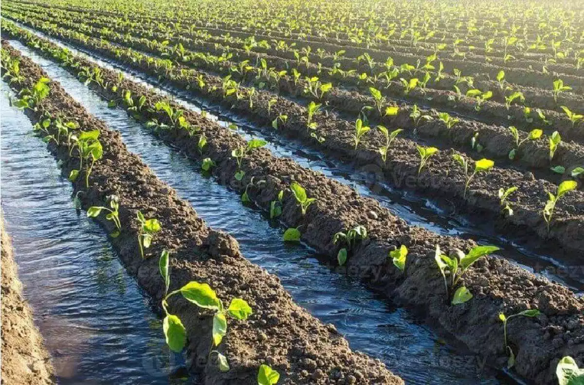 AGRIFORLAND — À propos